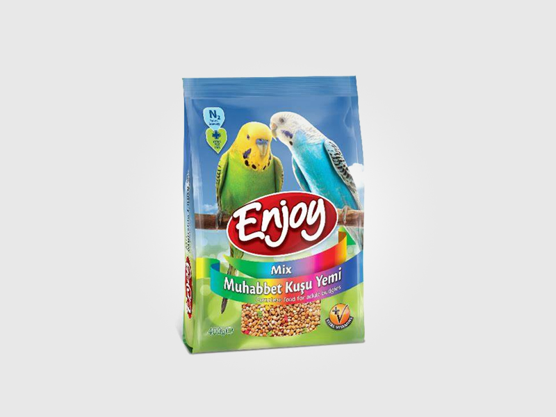 热带观赏鱼——神仙鱼