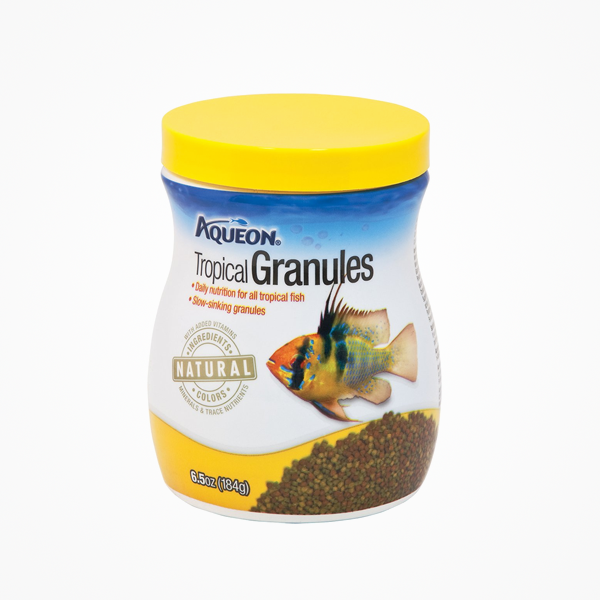 观赏鱼-鱼苗批发